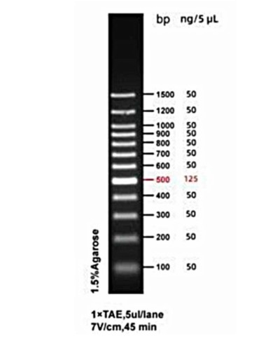 DNA Ladder 100 BP Marcador...