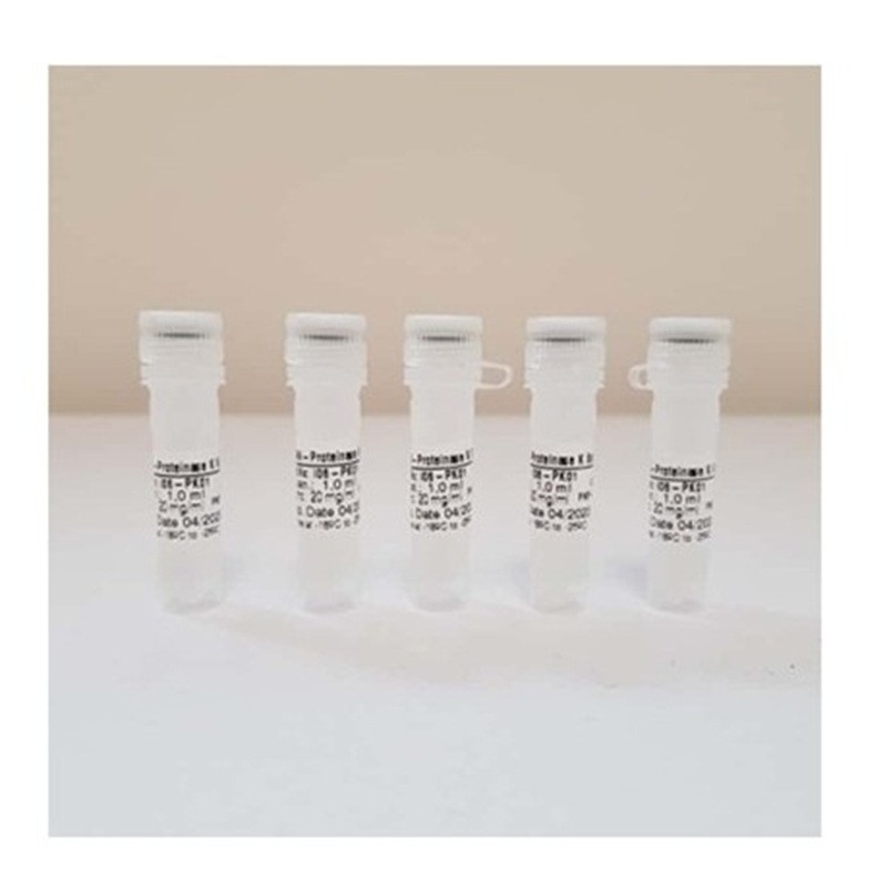 IBIAN-Proteinase K Solution 100 mg en 5 tubos de 1 ml