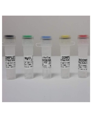Hot-Taq polymerase 200 U