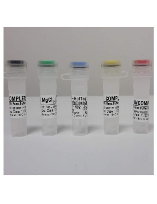 Hot-Taq polymerase 200 U