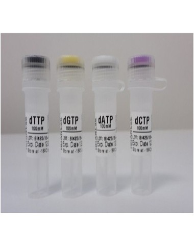 SET OF 4 DNTPS, 4 X 100 MM (4 X 1000 µL)