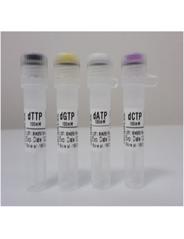 SET OF 4 DNTPS, 4 X 100 MM (4 X 200 µL)