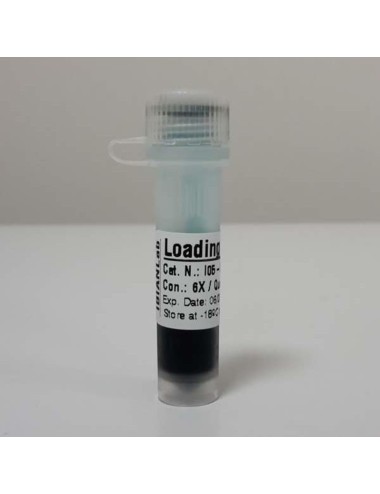 Loading Buffer (6X)