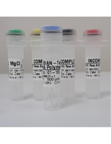 Taq polymerase 500 U