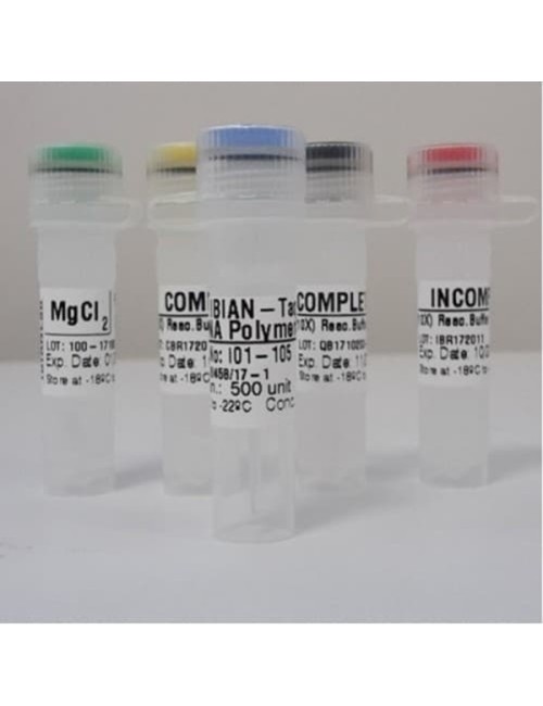 Taq polymerase 500 U